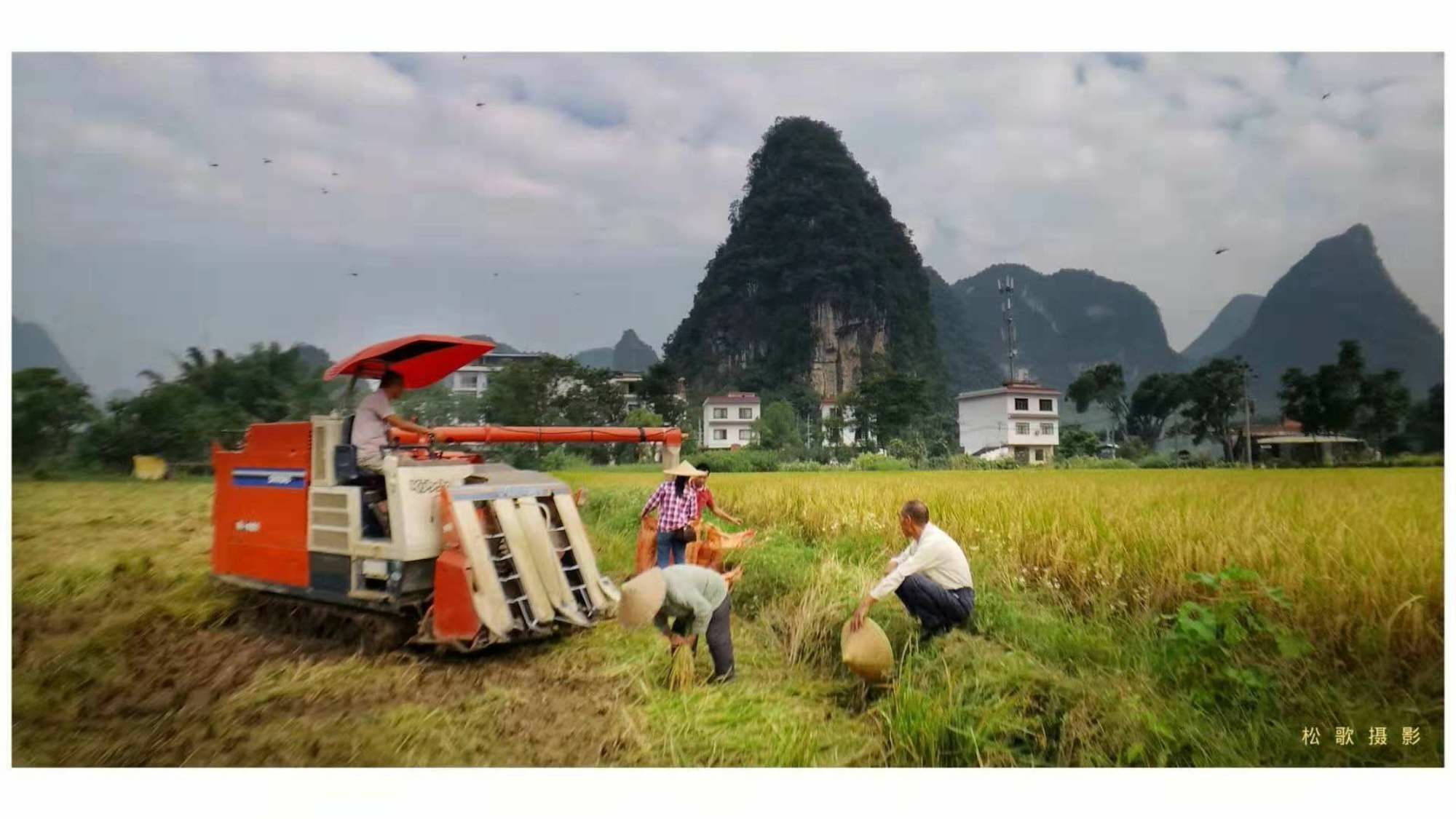 阳朔梧桐·嘉轩寻龙庭酒店（影视、文学、健康新生活体验酒店） 桂林 外观 照片